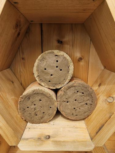 3de99d1d-e83d-4e9c-aa76-a33823151738