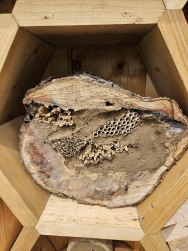 8b5c5fb3-4259-4540-b70e-3e92a72087a1