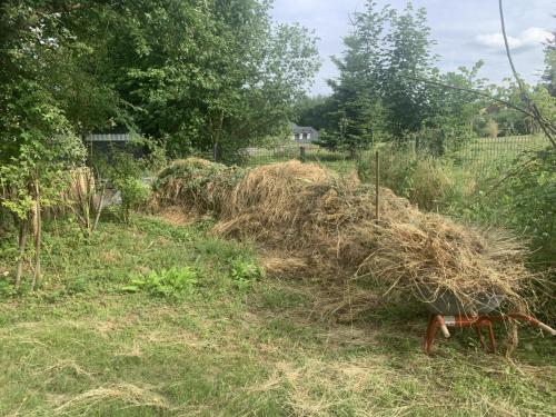 20230628_155419850_iOS