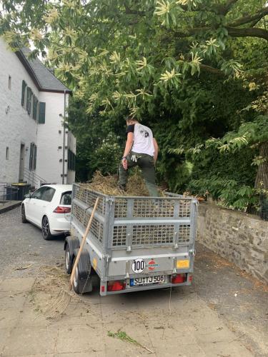 20230628_163101178_iOS