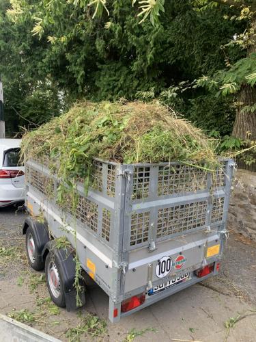 20230628_181411886_iOS