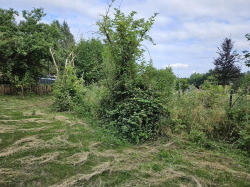 signal-2023-06-29-144741_003