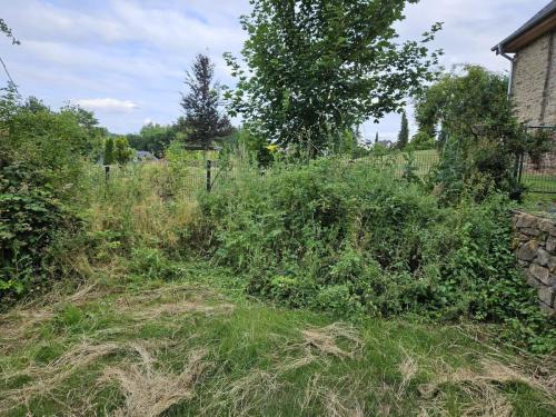 signal-2023-06-29-144741_004