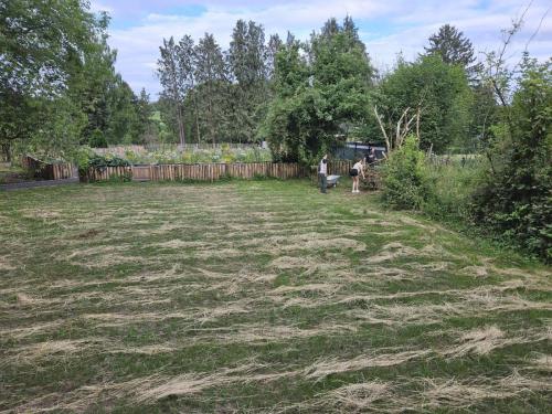 signal-2023-06-29-144741_006